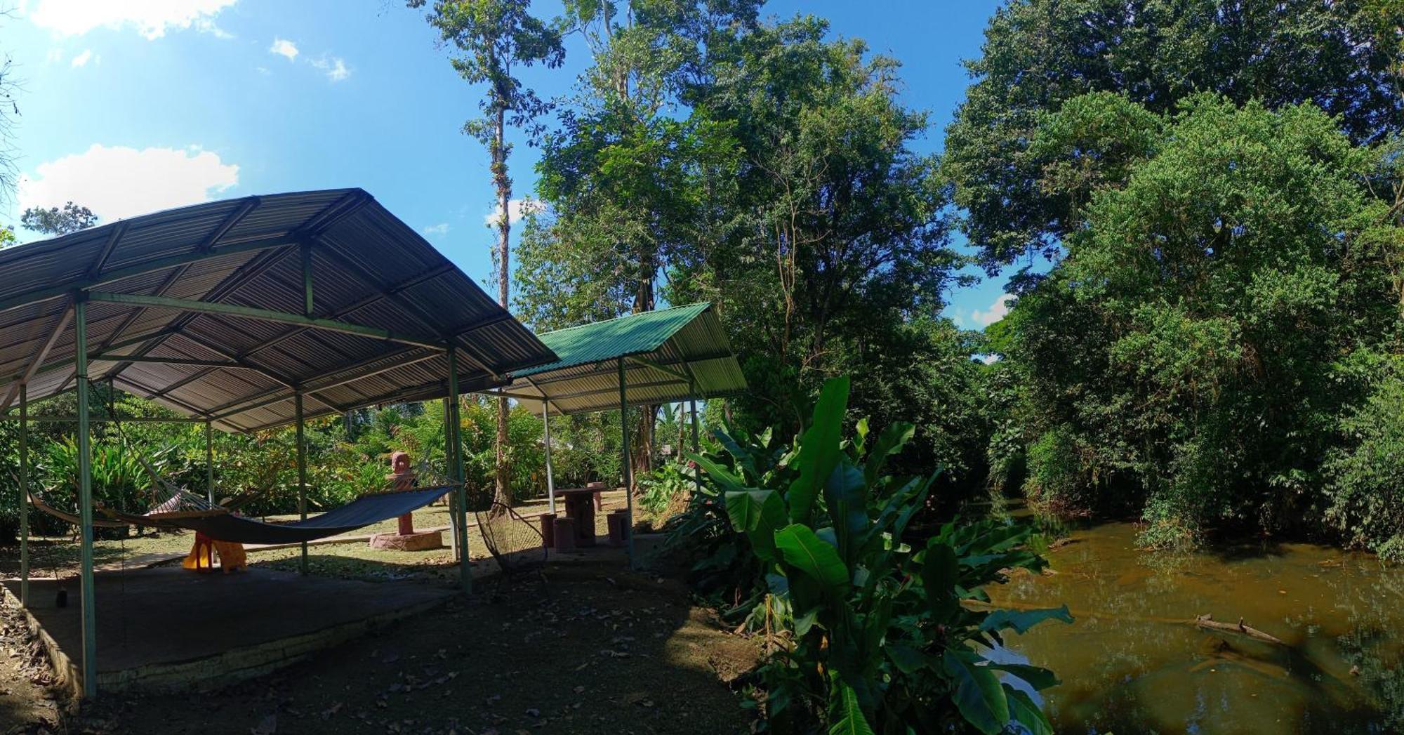 Finca La Paz - Sarapiqui Puerto Viejo de Sarapiqui Buitenkant foto