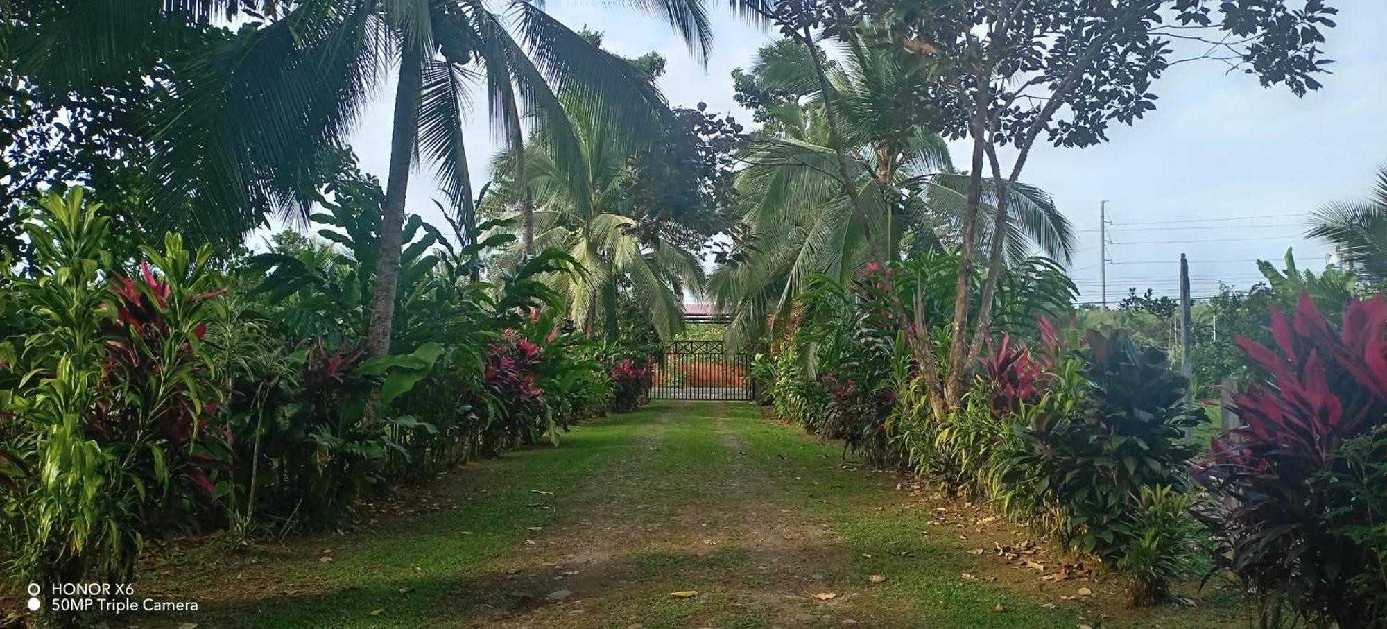 Finca La Paz - Sarapiqui Puerto Viejo de Sarapiqui Buitenkant foto